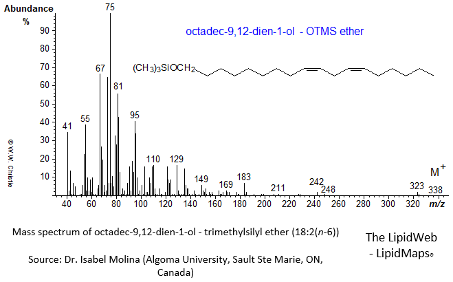Mass spectrum of octadec-9,12-dien-1-ol (9,12-18:2) - trimethylsilyl ether (TMS)