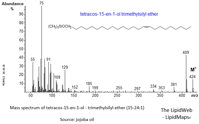 Mass spectrum of tetracos-15-en-1-ol (15-24:1) - trimethylsilyl ether (TMS)