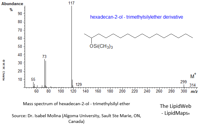 Mass spectrum of hexadecan-2-ol - trimethylsilyl ether (TMS)
