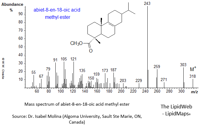 Mass spectrum of abiet-8-en-18-oic acid methyl ester