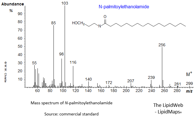 Mass spectrum of N-palmitoylethanolamide