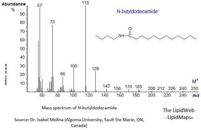 Mass spectrum of N-butyldodecamide