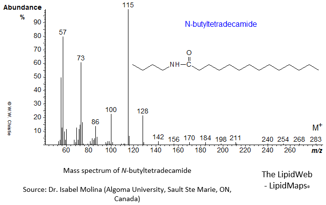 Mass spectrum of N-butyltetradecamide