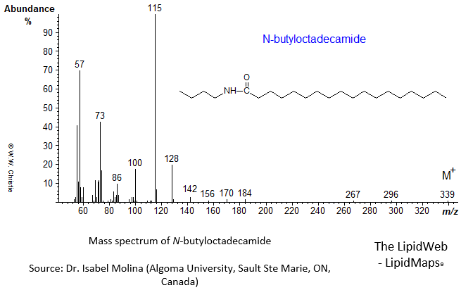 Mass spectrum of N-butyloctadecamide