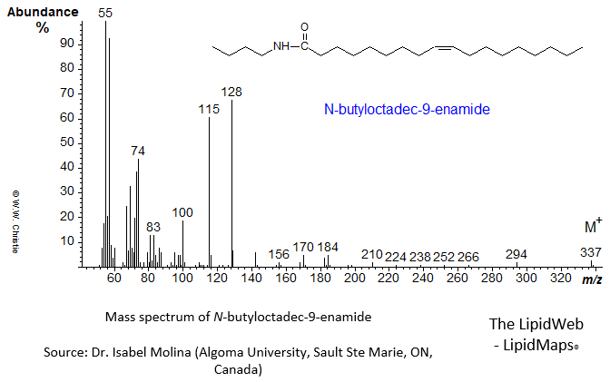 Mass spectrum of N-butyloctadec-9-enamide