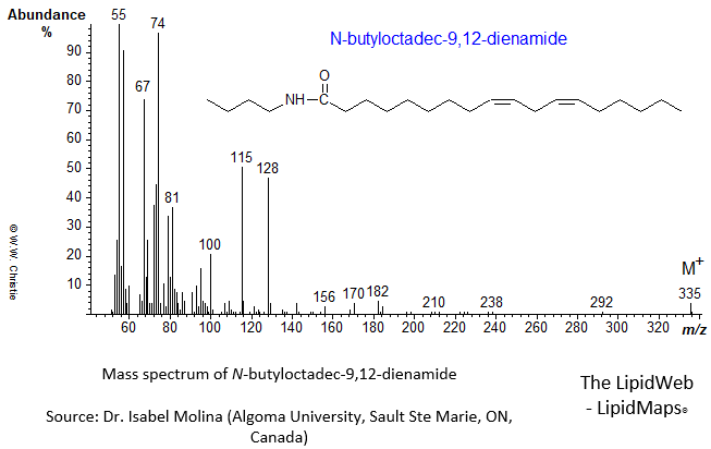 Mass spectrum of N-butyloctadec-9,12-dienamide