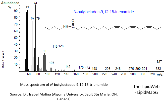 Mass spectrum of N-butyloctadec-9,12,15-trienamide