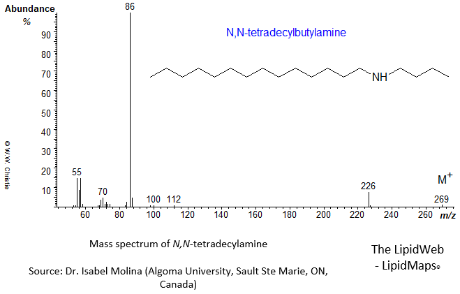 Mass spectrum of N,N-tetradecylbutylamine