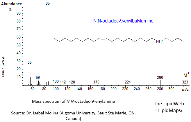 Mass spectrum of N,N-octadec-9-enylbutylamine
