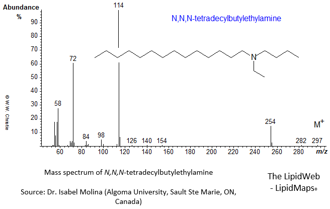 Mass spectrum of N,N,N-tetradecylbutylethylamine
