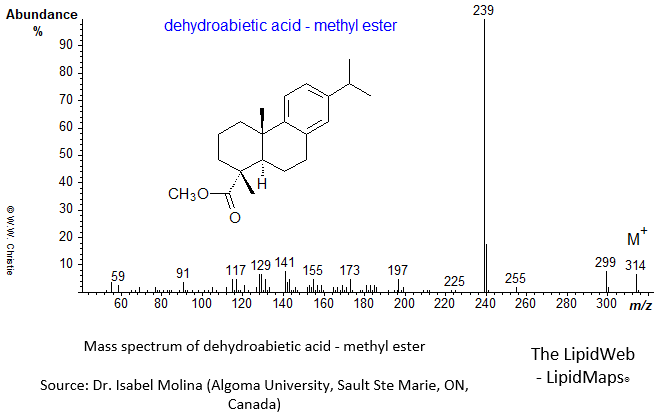 Mass spectrum of dehydroabietic acid - methyl ester