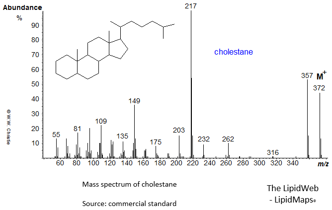 Mass spectrum of cholestane