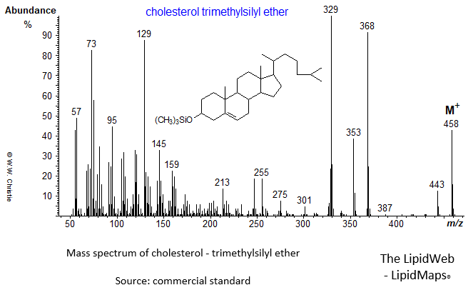 Mass spectrum of cholesterol-TMS ether