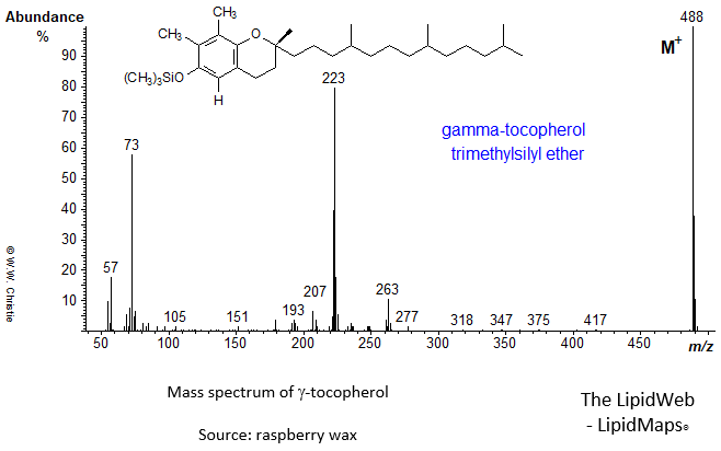 Mass spectrum of gamma-tocopherol - TMS ether