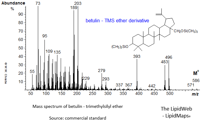 Mass spectrum of betulin-TMS ether