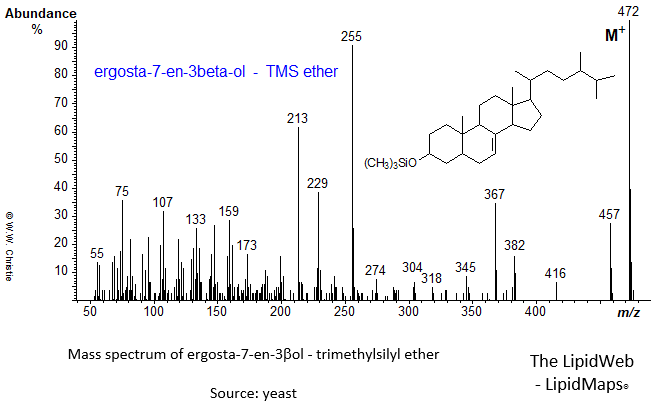 Mass spectrum of ergosta-7-en-3betaol-TMS ether