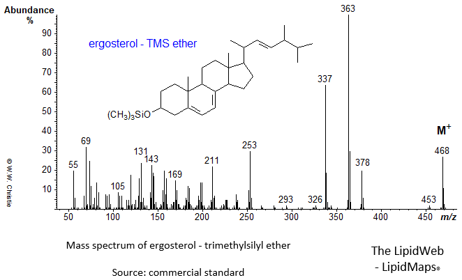 Mass spectrum of ergosterol-TMS ether