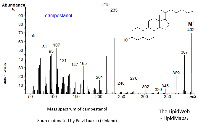 Mass spectrum of campestanol