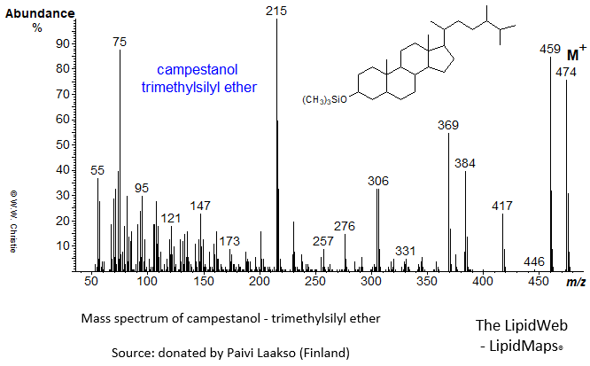 Mass spectrum of campestanol-TMS ether