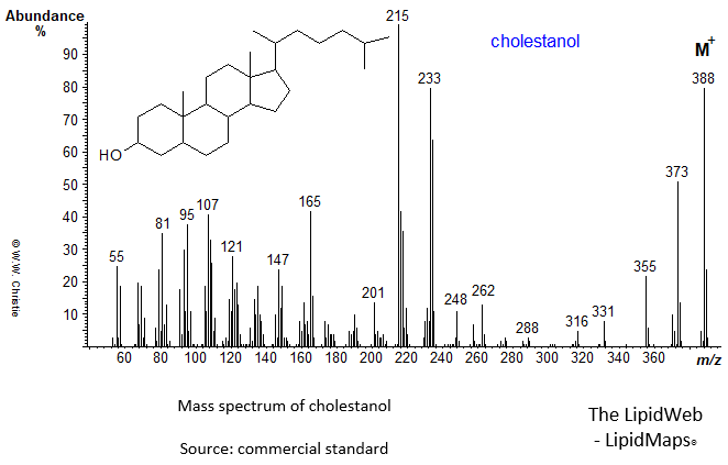Mass spectrum of cholestanol
