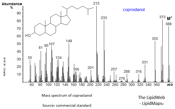 Mass spectrum of coprostanol