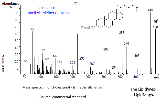 Mass spectrum of cholestanol - TMS ether