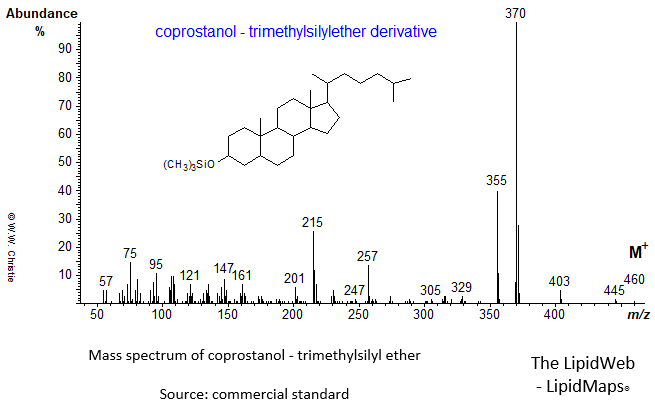 Mass spectrum of coprostanol - TMS ether