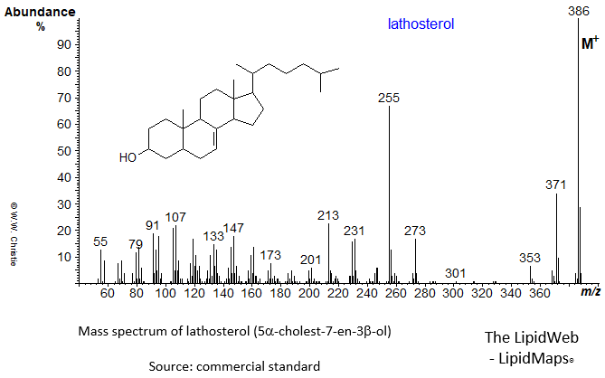 Mass spectrum of lathosterol (5alpha-cholest-7-en-3-beta-ol)