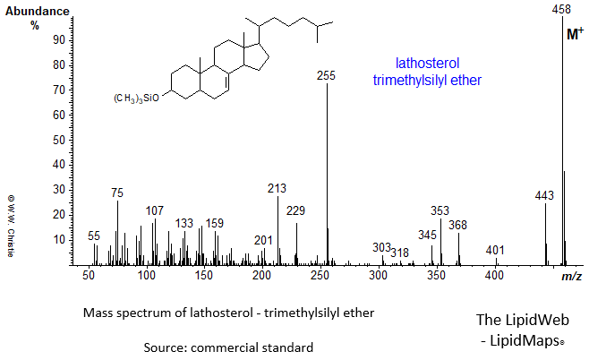 Mass spectrum of lathosterol-TMS ether