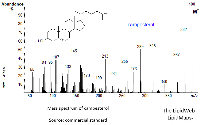 Mass spectrum of campesterol