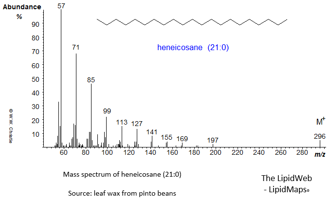 Mass spectrum of heneicosane (21:0)