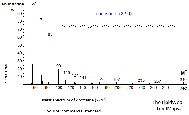 Mass spectrum of docosane (22:0)