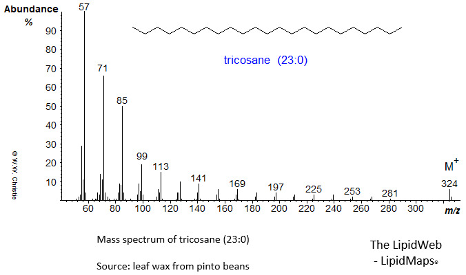 Mass spectrum of tricosane (23:0)