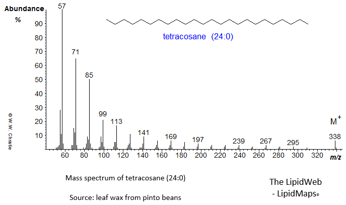 Mass spectrum of tetracosane (24:0)