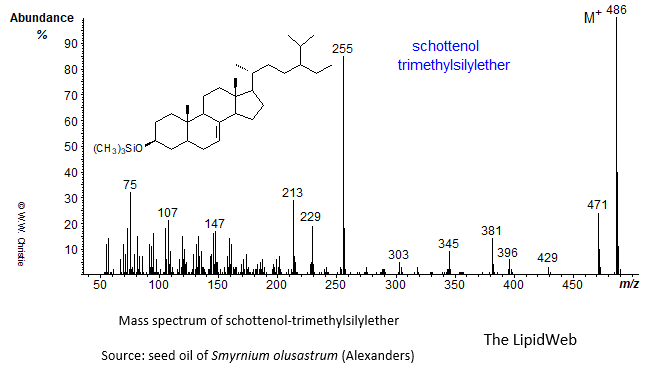 Mass spectrum of schottenol - trimethylsilyl ether