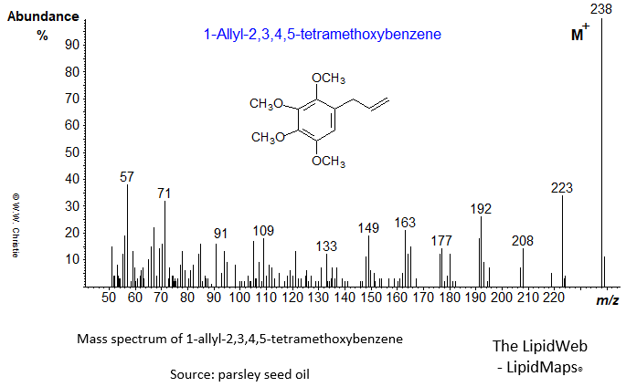 Mass spectrum of 1-allyl-2,3,4,5-tetramethoxybenzene