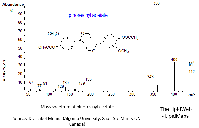 Mass spectrum of pinoresinyl acetate