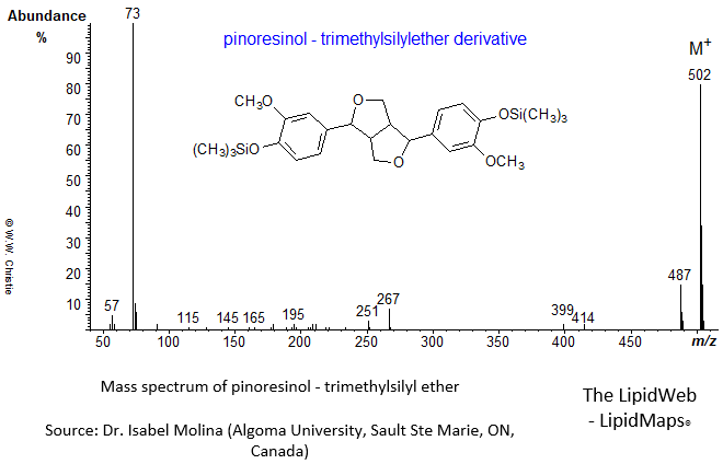 Mass spectrum of pinoresinol - TMS ether