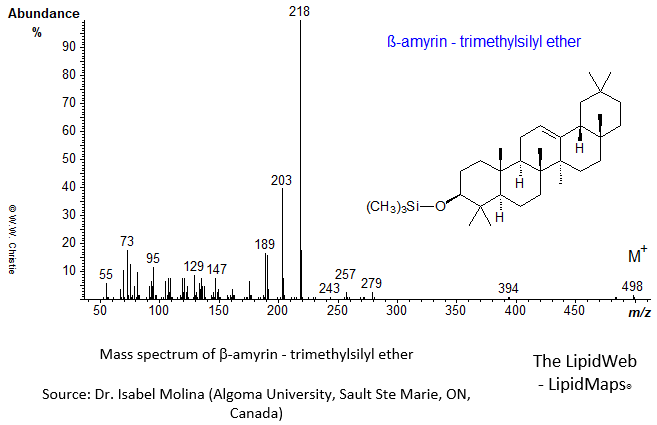 Mass spectrum of beta-amyrin - TMS ether