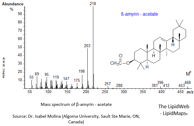 Mass spectrum of beta-amyrin - acetate