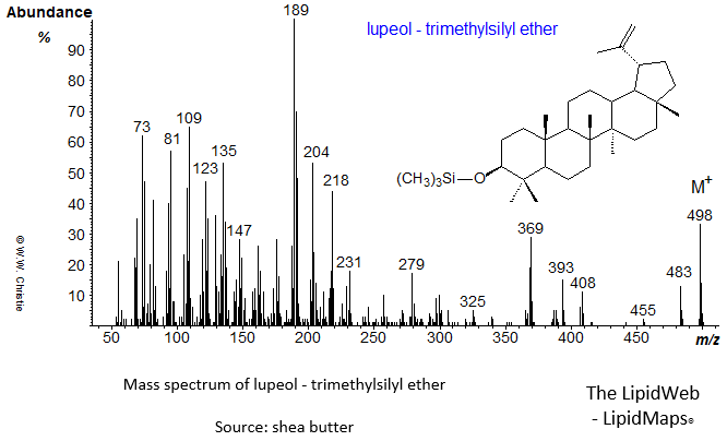 Mass spectrum of lupeol - trimethylsilyl ether