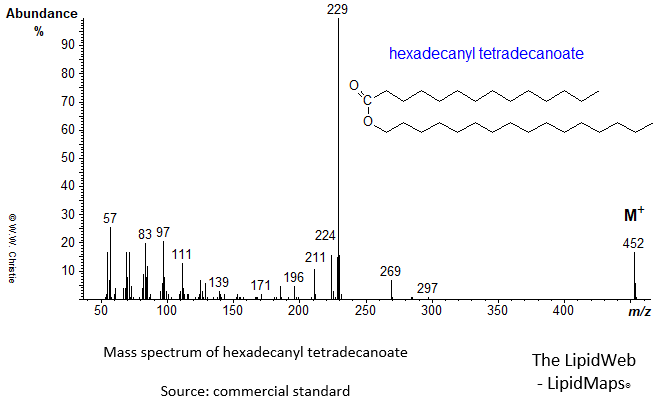 Mass spectrum of hexadecanyl tetradecanoate