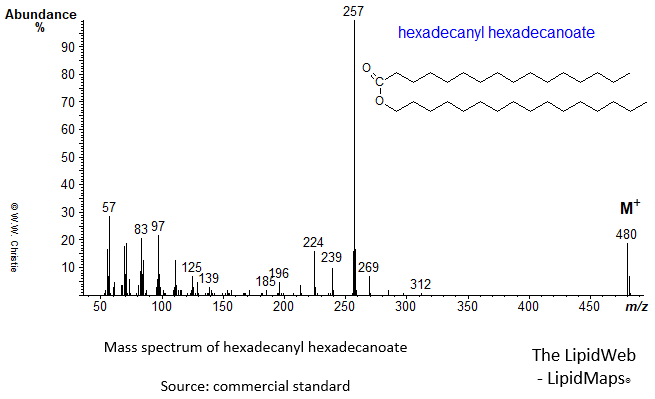 Mass spectrum of hexadecanyl hexadecanoate