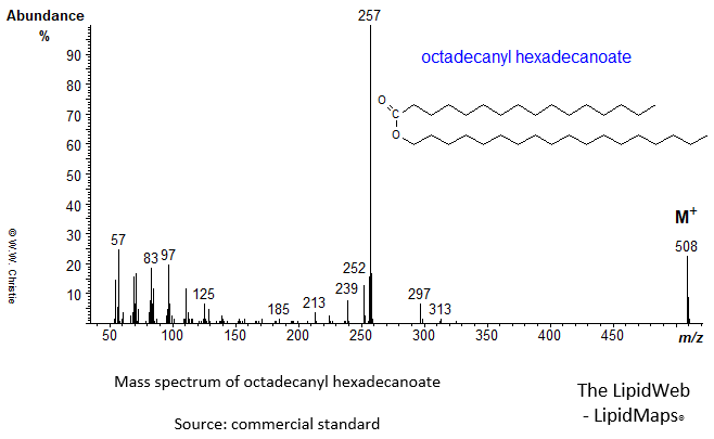Mass spectrum of octadecanyl hexadecanoate