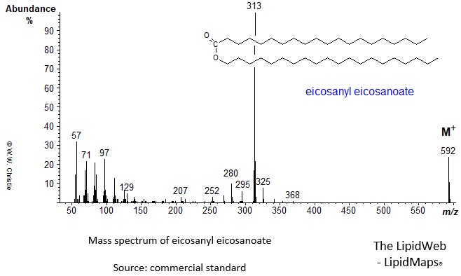 Mass spectrum of eicosanyl eicosanoate