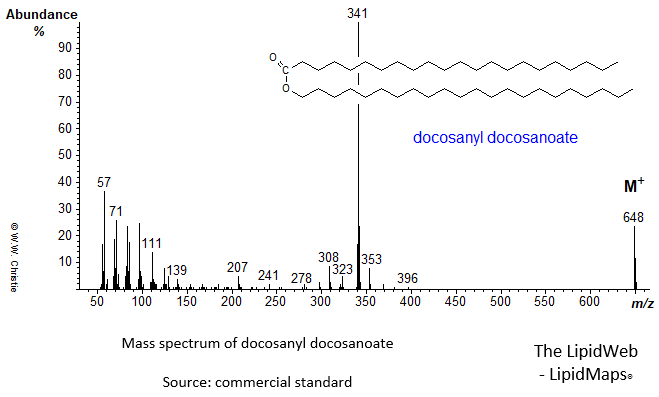 Mass spectrum of docosanyl docosanoate