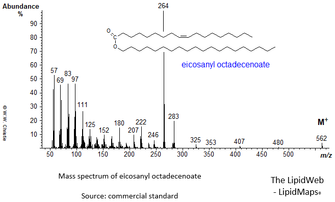 Mass spectrum of eicosanyl octadecenoate
