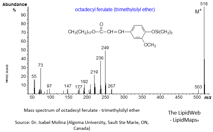 Mass spectrum of octadecyl ferulate - OTMS