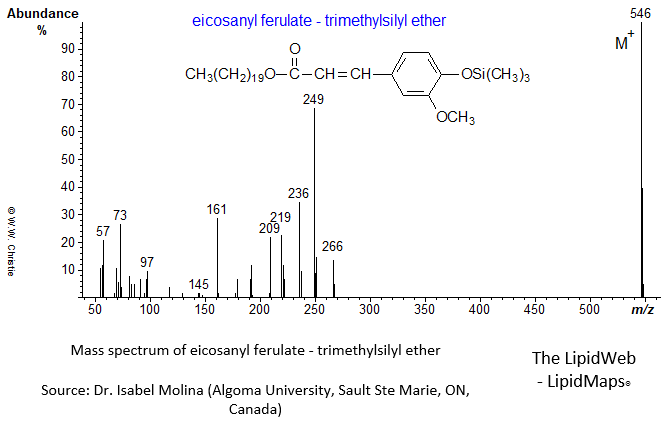 Mass spectrum of eicosanyl ferulate - OTMS