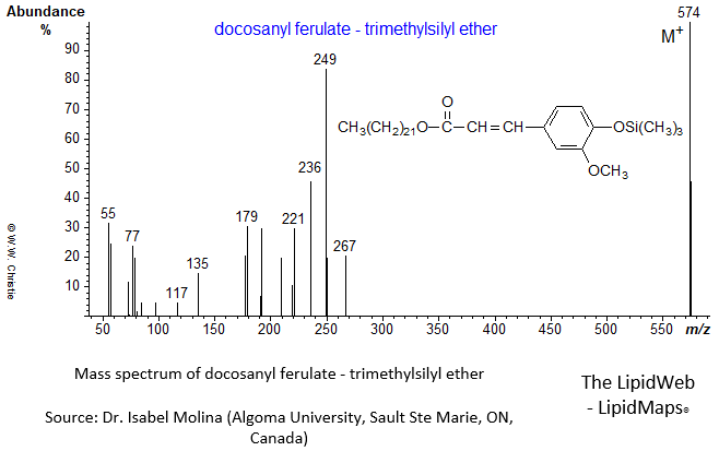 Mass spectrum of docosanyl ferulate - OTMS